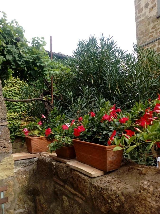 Il Vento E La Ginestra Apartment Bagnoregio Exterior photo